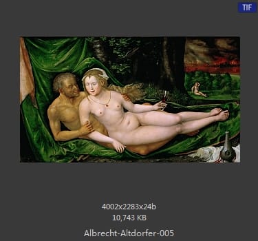 Albrecht Altdorfer