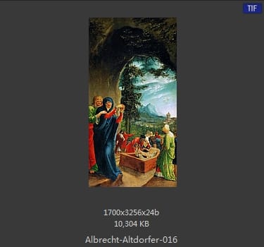 Albrecht Altdorfer
