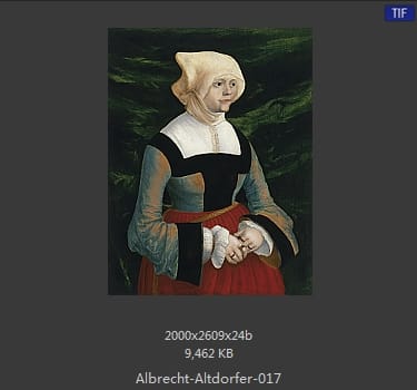 Albrecht Altdorfer