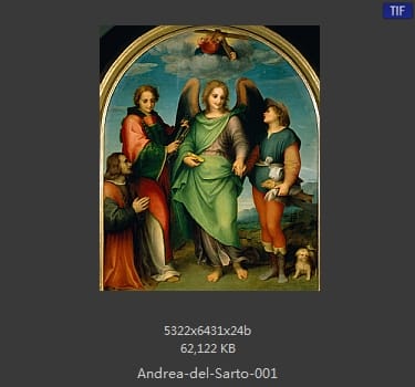 Andrea del Sarto
