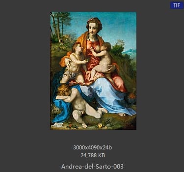 Andrea del Sarto