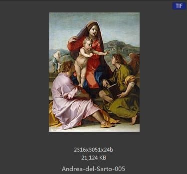 Andrea del Sarto