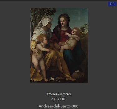 Andrea del Sarto