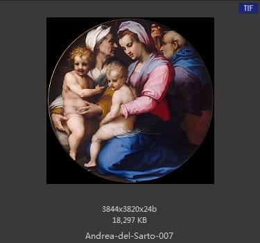 Andrea del Sarto