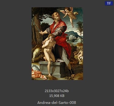 Andrea del Sarto