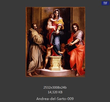 Andrea del Sarto