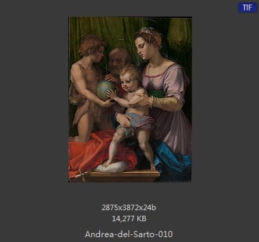 Andrea del Sarto