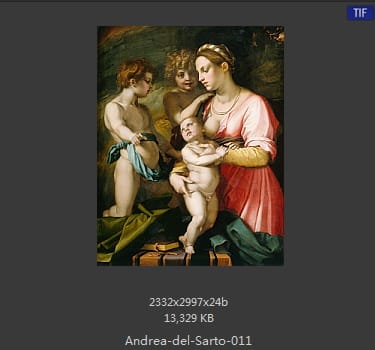 Andrea del Sarto