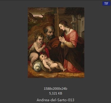 Andrea del Sarto