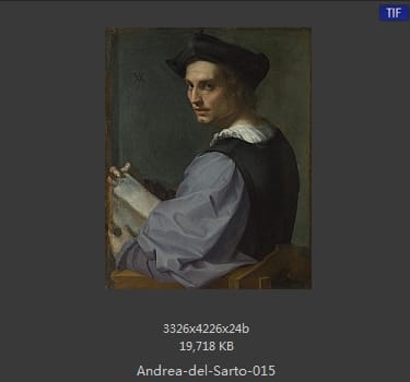 Andrea del Sarto