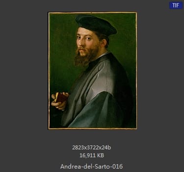 Andrea del Sarto