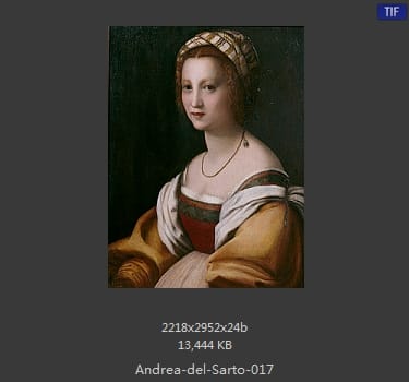 Andrea del Sarto