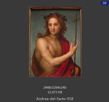 Andrea del Sarto