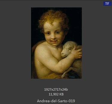 Andrea del Sarto