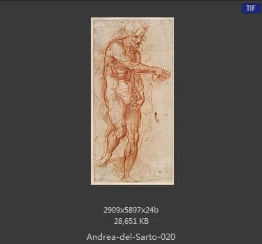 Andrea del Sarto