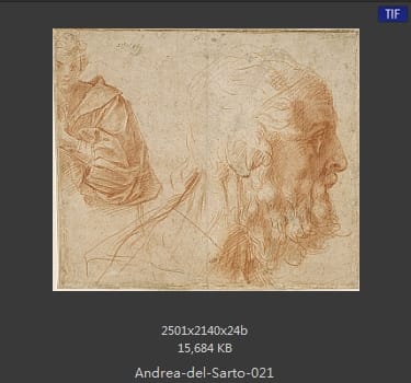 Andrea del Sarto