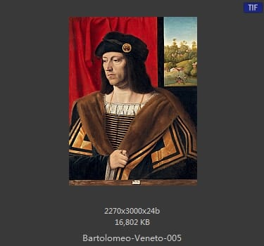 Bartolomeo Veneto