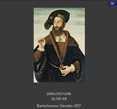 Bartolomeo Veneto