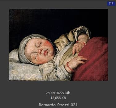 Bernardo Strozzi
