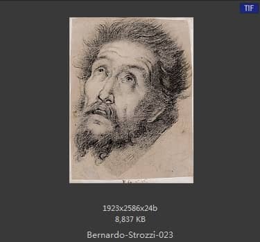 Bernardo Strozzi