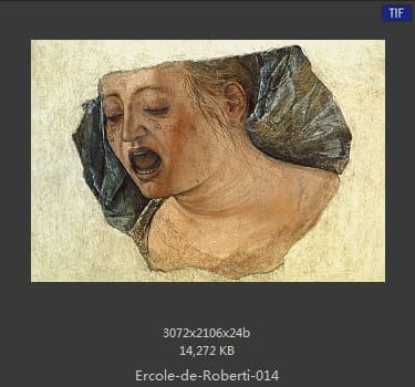 Ercole de Roberti