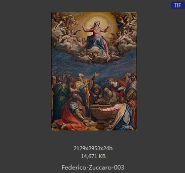 Federico-Zuccaro