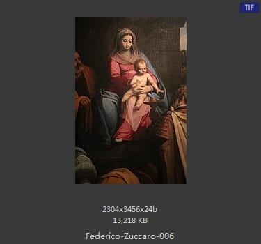 Federico-Zuccaro