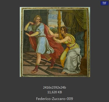 Federico-Zuccaro