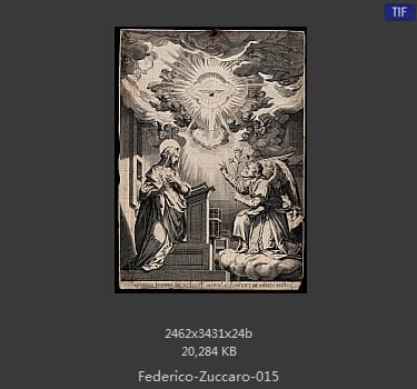 Federico-Zuccaro