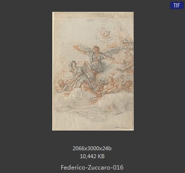 Federico-Zuccaro