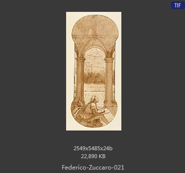 Federico-Zuccaro