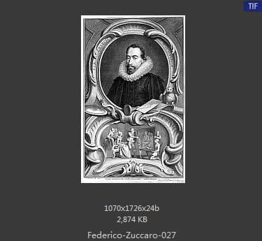 Federico-Zuccaro