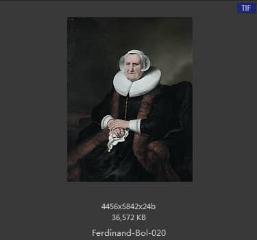 Ferdinand Bol