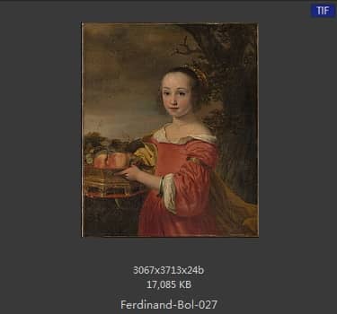 Ferdinand Bol