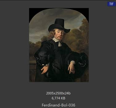 Ferdinand Bol