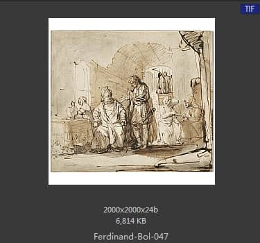 Ferdinand Bol