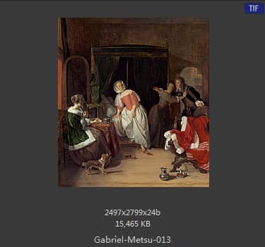 Gabriel Metsu