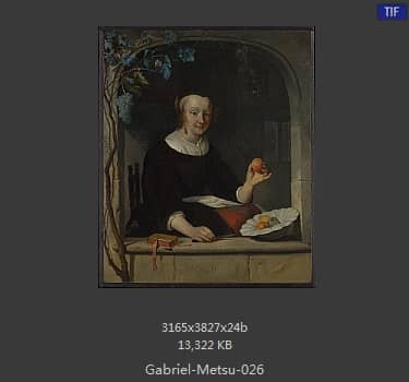 Gabriel Metsu