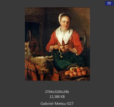 Gabriel Metsu