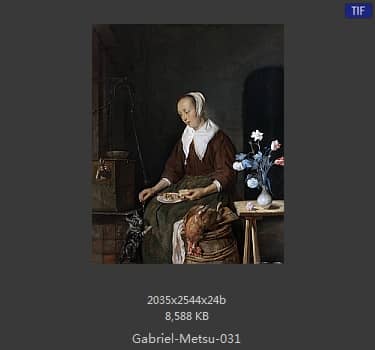 Gabriel Metsu