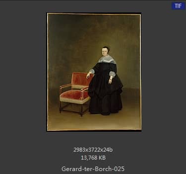 Gerard ter Borch