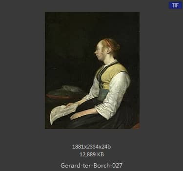Gerard ter Borch