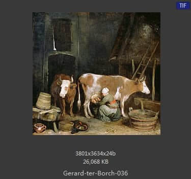 Gerard ter Borch