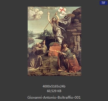 Giovanni Antonio Boltraffio