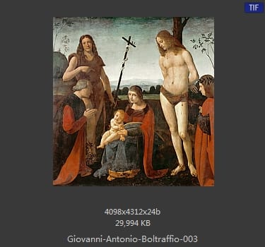 Giovanni Antonio Boltraffio