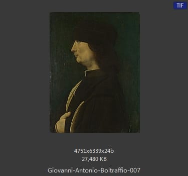 Giovanni Antonio Boltraffio