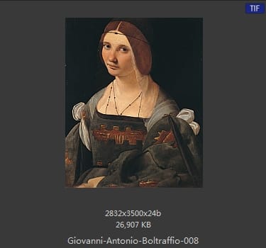 Giovanni Antonio Boltraffio