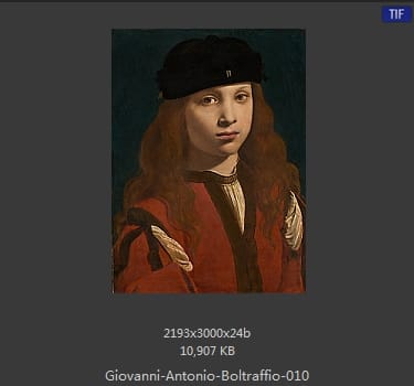 Giovanni Antonio Boltraffio