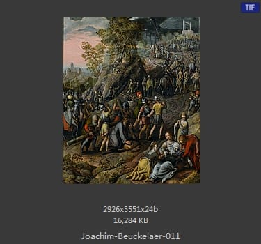 Joachim Beuckelaer