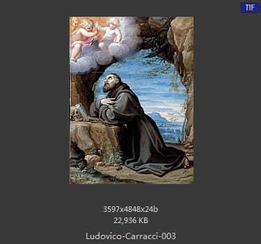Ludovico Carracci